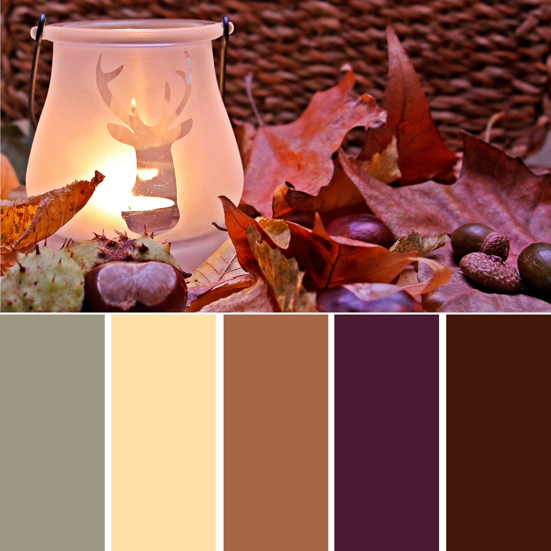 A deep candle sits amongst fall leaves with various fall colors below