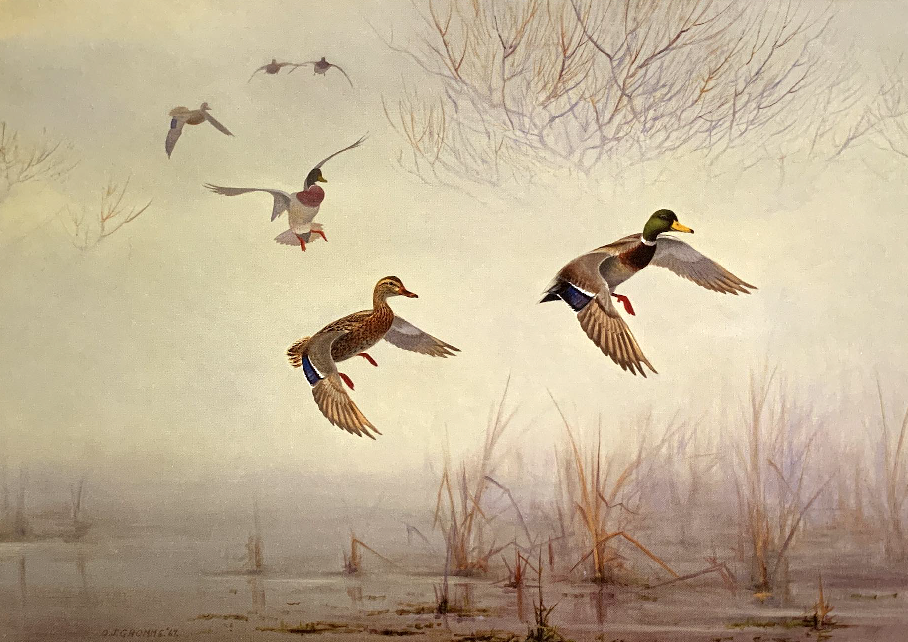 The Dust Bowl - Founding of Ducks Unlimited Canada — Ducks